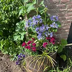 Prázdninový dům Supergezellig Met Hele Grote Tuin Bij Nijmegen Ewijk