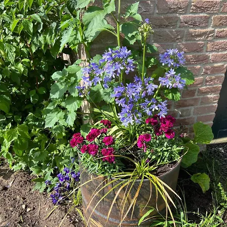Holiday home Supergezellig Met Hele Grote Tuin Bij Nijmegen Ewijk