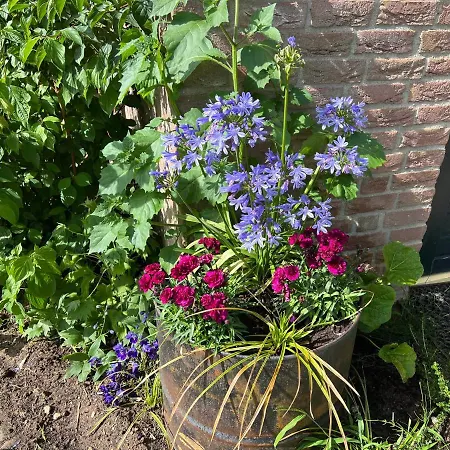 Casa de Férias Supergezellig Met Hele Grote Tuin Bij Nijmegen Ewijk