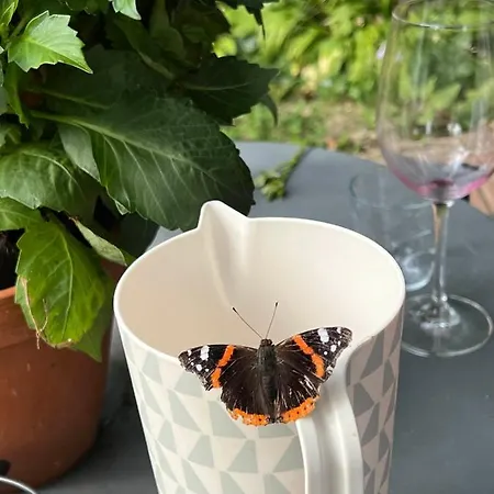 Supergezellig Met Hele Grote Tuin Bij Nijmegen