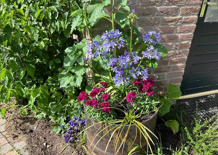 Сasa de vacaciones Supergezellig Met Hele Grote Tuin Bij Nijmegen Ewijk