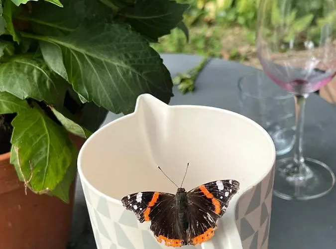 Supergezellig Met Hele Grote Tuin Bij Nijmegen